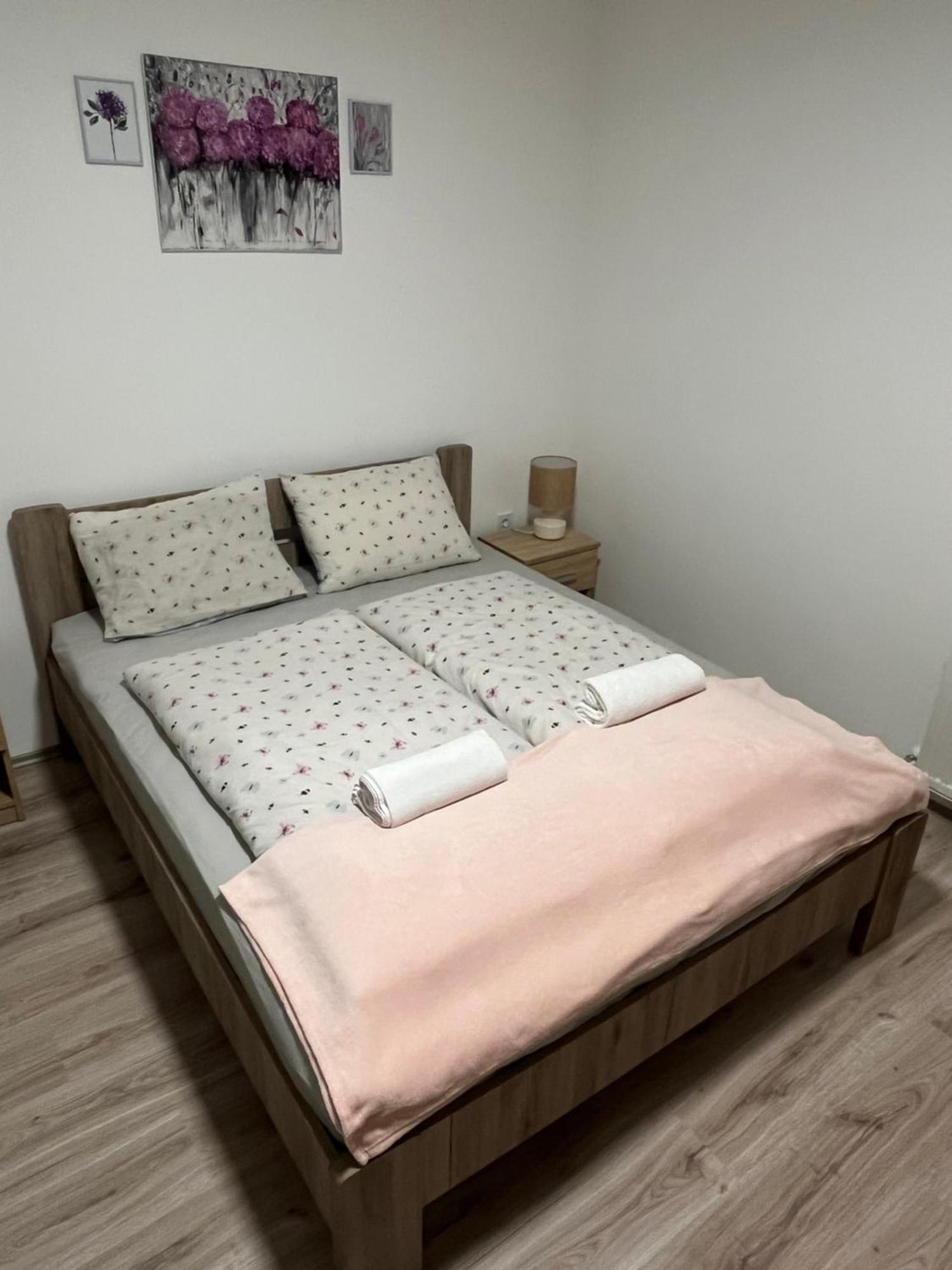 Mini Zoo Apartman 나지카니자 외부 사진